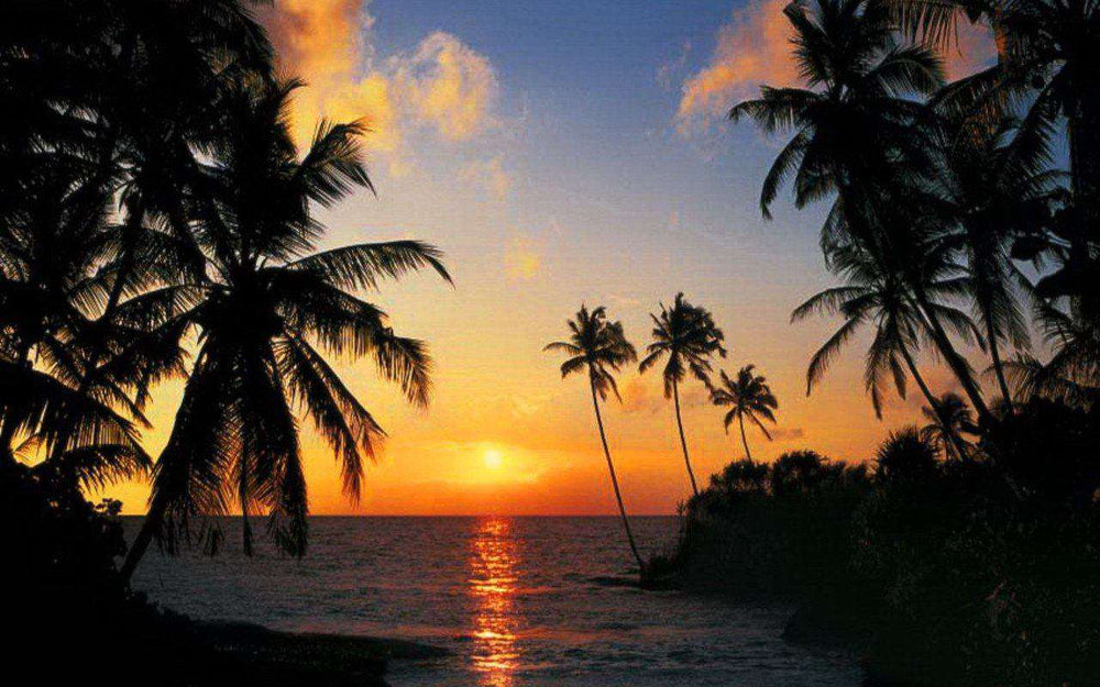 Tropical Sunrise